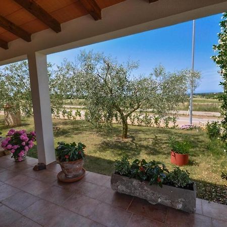 Angela Daire Novigrad Istria Dış mekan fotoğraf