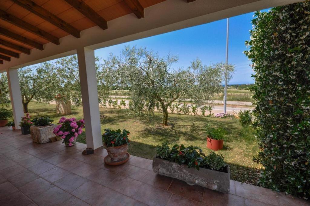 Angela Daire Novigrad Istria Dış mekan fotoğraf