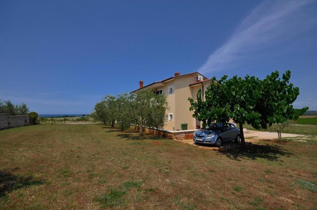 Angela Daire Novigrad Istria Dış mekan fotoğraf