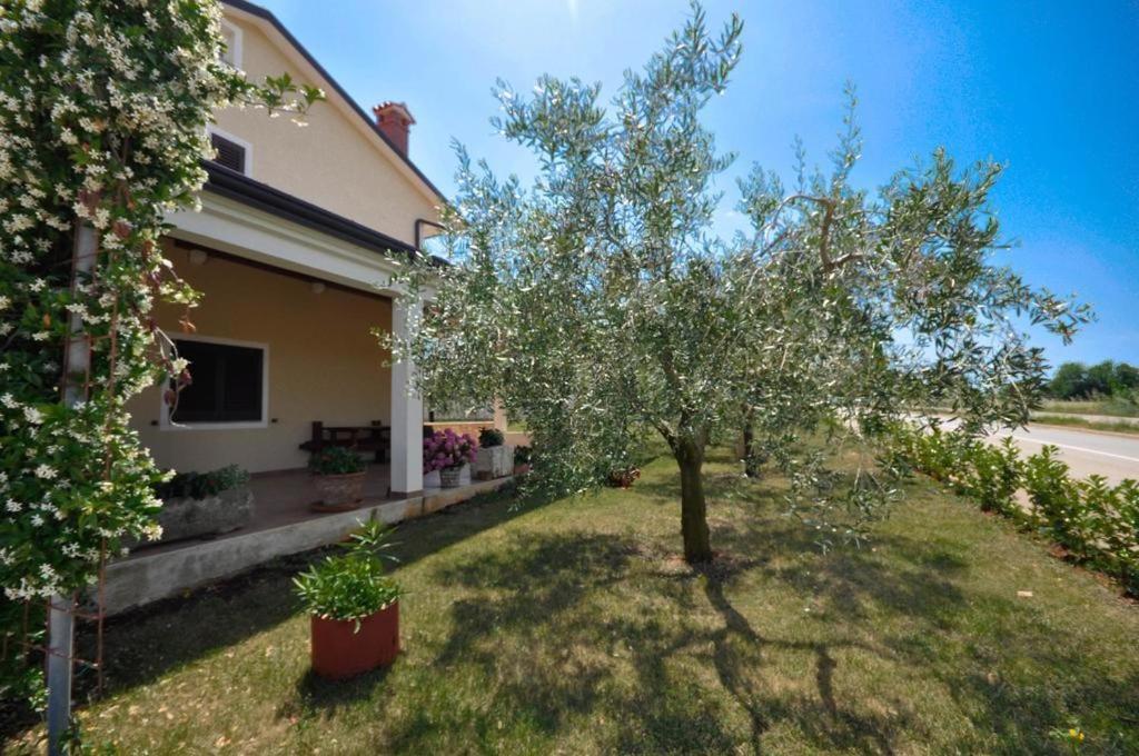 Angela Daire Novigrad Istria Dış mekan fotoğraf